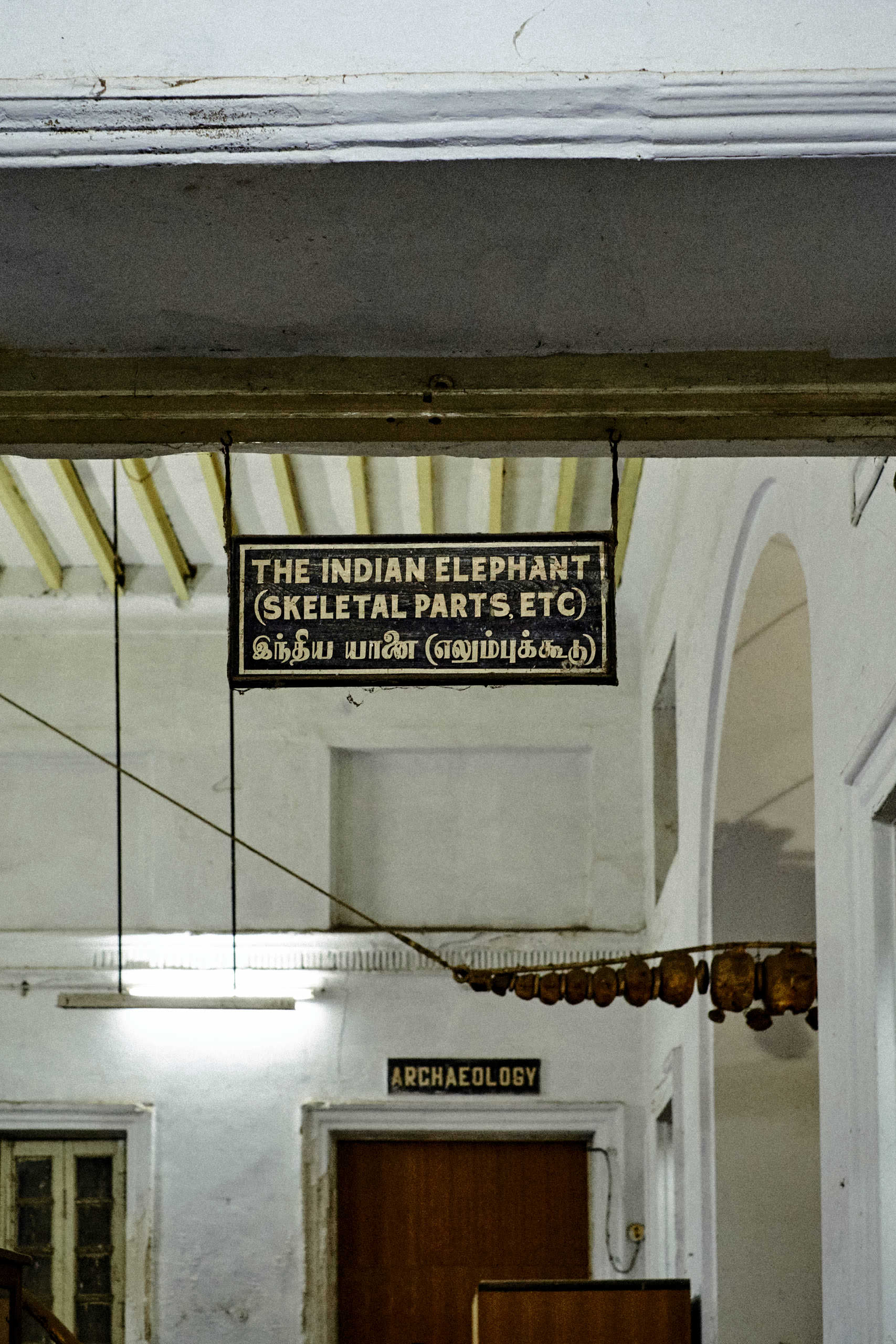 Government Art Museum Chennai